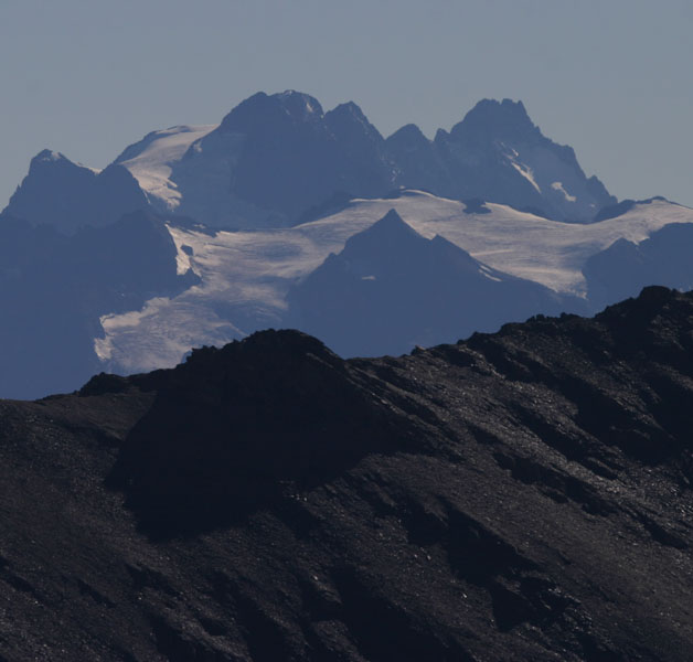 Ranunculs glacialis e R. bilobus